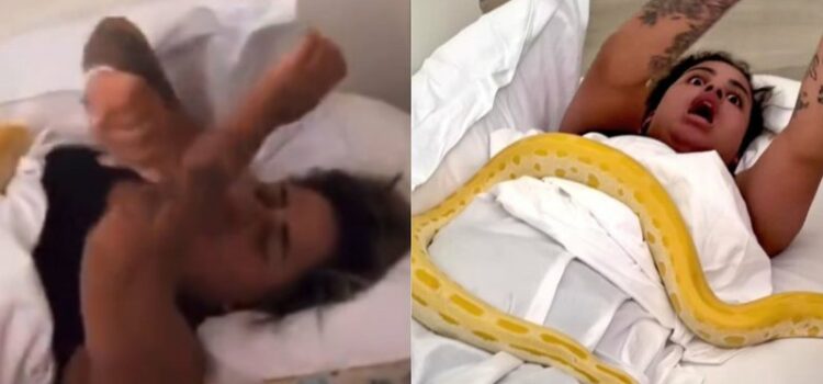 Mirella Santos coloca cobras na cama de MC Loma e cantora se desespera: “Passando mal”