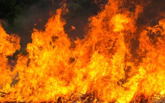 Ator perde mansão de quantia milionária em incêndio florestal; saiba detalhes